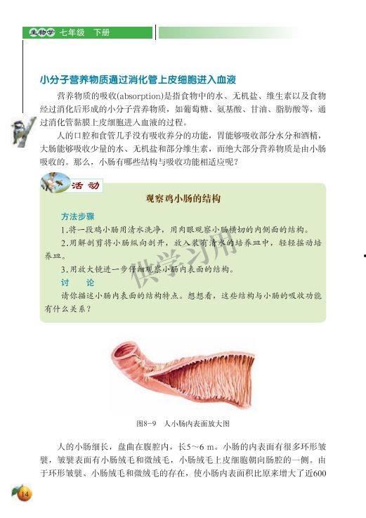 七年级生物下册视频,七年级生物下册视频内容概览