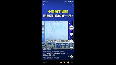 田鼠视频,自然界的智慧与生存法则